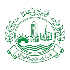 bise-faislabad.png